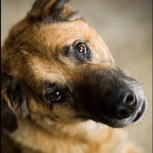 Meet your Posher, Tom